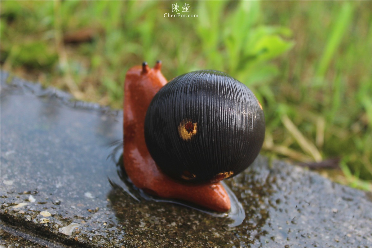 蜗牛紫砂茶宠图片