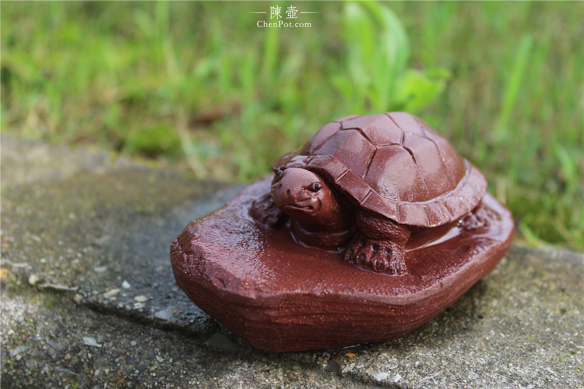 紫砂茶宠乌龟图片