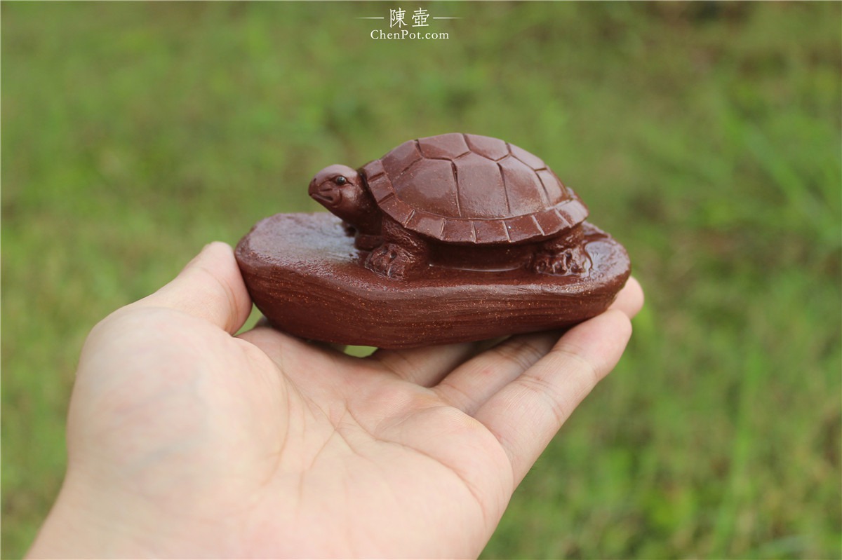 紫砂茶宠乌龟的图片