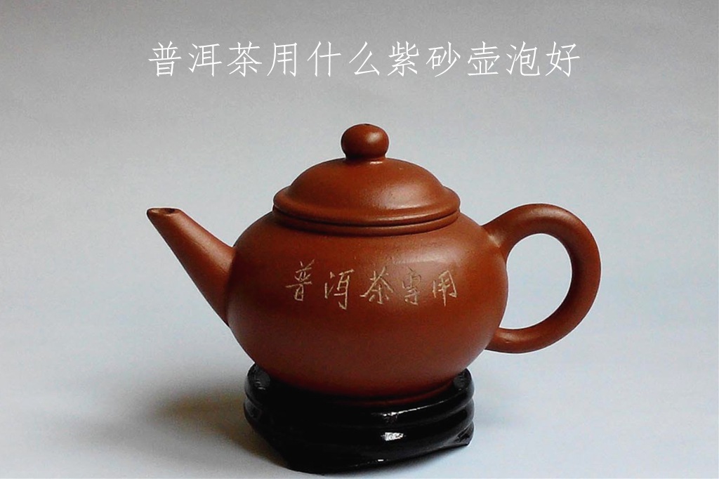 普洱茶壶图片