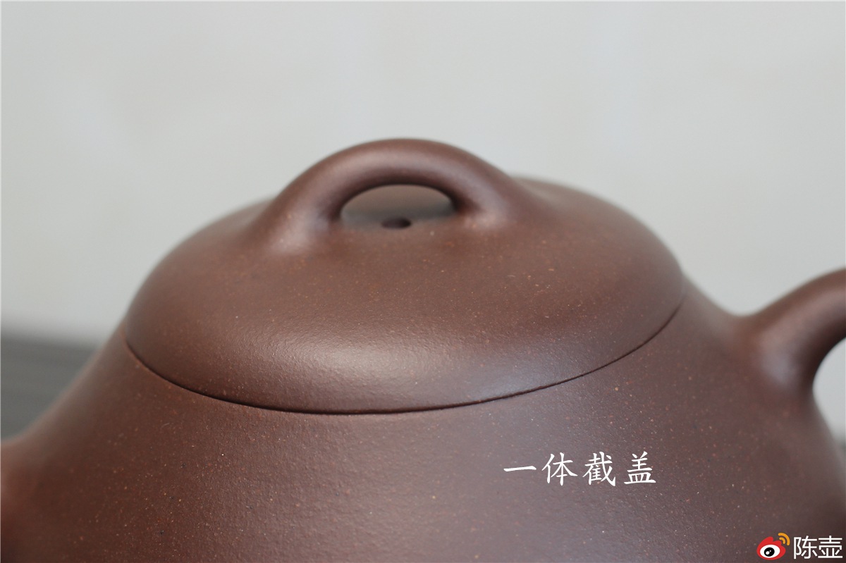 汉棠石瓢壶图片